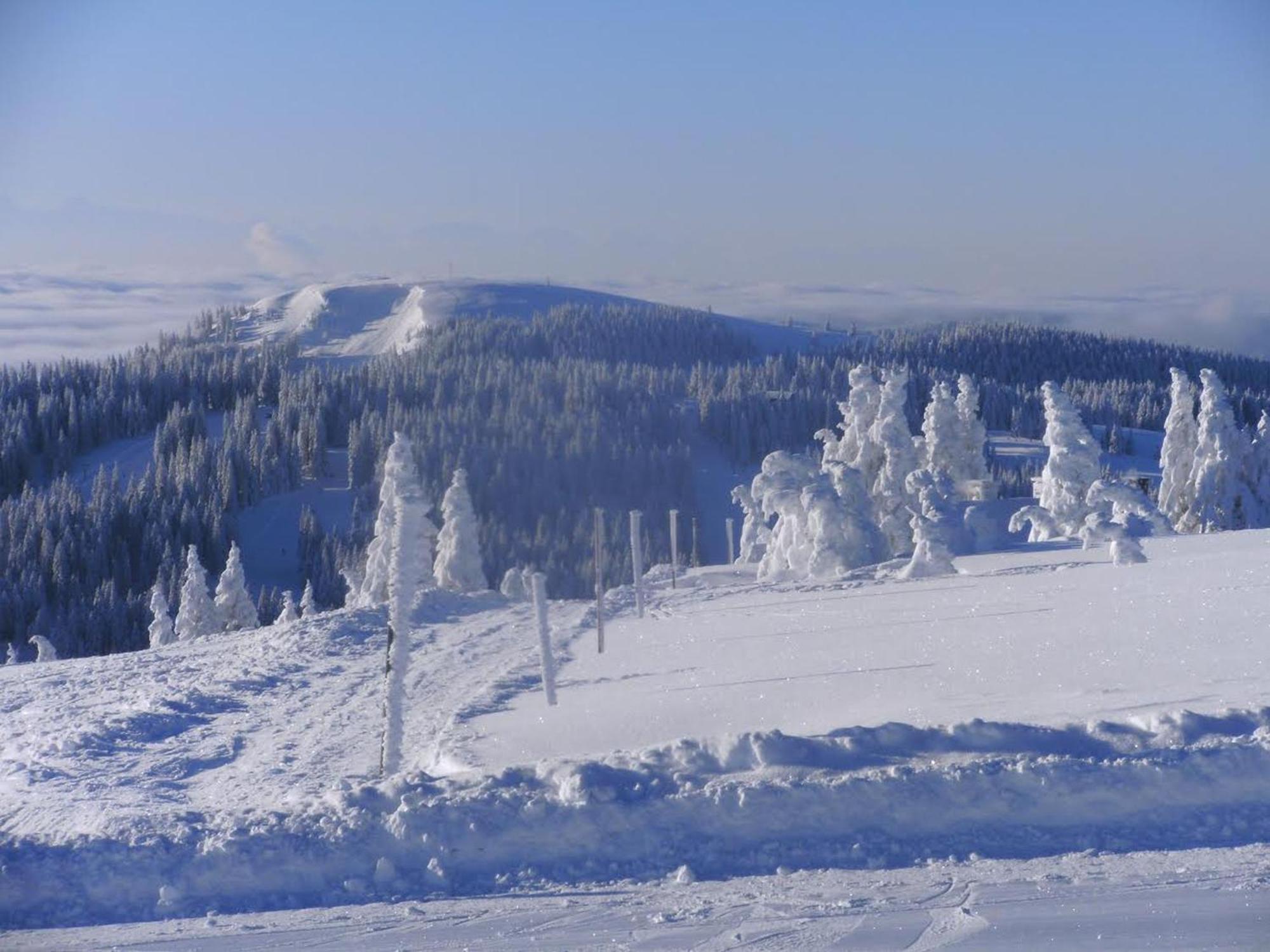 Haus Aretz Feldberg (Baden-Wurttemberg) Exterior foto